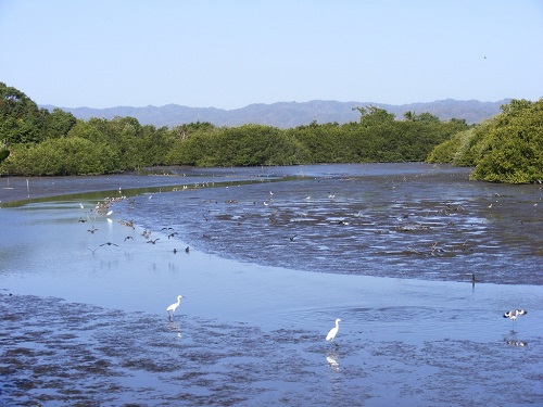 Sugieren Patronato Autónomo Para la Laguna del Quelele