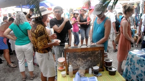 Tebalche Bebida Fermentada de Miel de Abeja se Produce en la Región