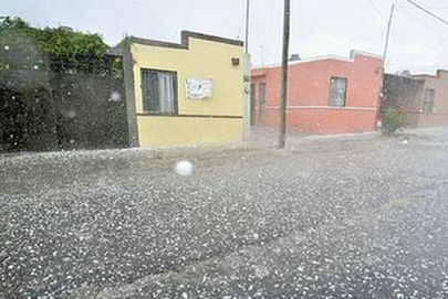 Declara Sagarpa Desastre Natural en 17 Municipios de Nayarit