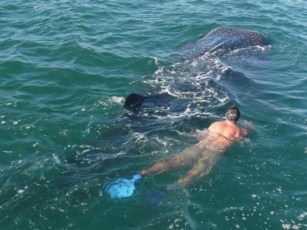 Discovery Channel Transmite a Riviera Nayarit