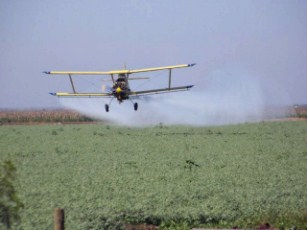Impuestos a Agroquímicos Golpean al Productor Agrícola en Pequeño en Bahía