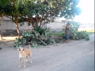 Piden Vecinos de Valle Dorado se Repare Drenaje Saturado