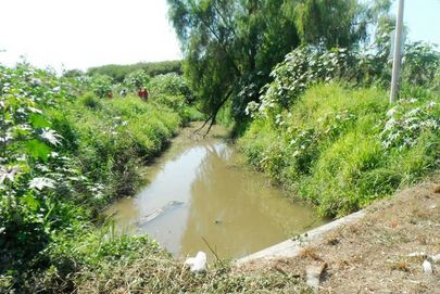 Colocará PC Anuncio de Zona de Cocodrilos en Puente Tondoroque
