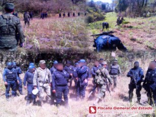 Ubican y Destruyen 13 Plantíos de Marihuana en Ahuacatlán, Nayarit