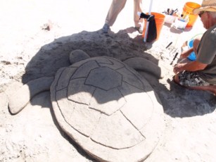 Arte Para las Tortugas Fomenta Conservación en Riviera Nayarit