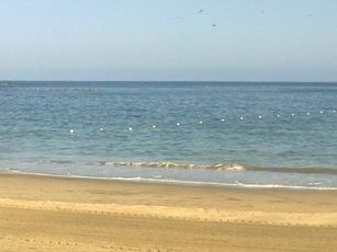 Limpia VIII Ayuntamiento Playas de Sayulita y de Bucerías