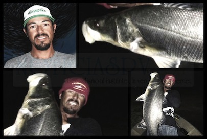 Sorprende Pesca de un Robalo de 21 Kilos en el Río Ameca