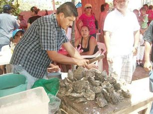Inician Preparativos Para el Festival del Ostión de Bucerías 2014