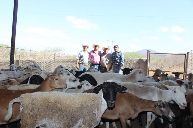 Ofrece Rafa Cervantes Apoyo a Ganaderos de Bahía de Banderas
