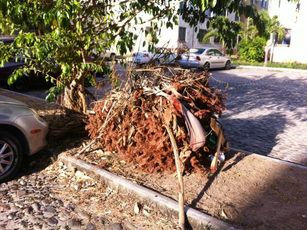 Autoridades Corruptas en Tema de la Basura