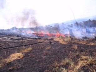 En lo que va del 2014 se han Registrado 337 Incendios en Bahía