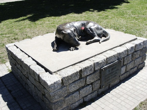 Construirán Panteón Donde Habrá Espacio para Sepultar Mascotas