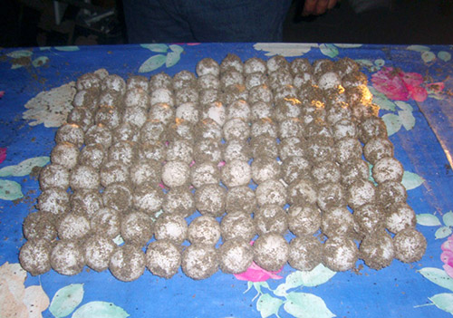 Capturan a Sujeto con 104 Huevos de Tortuga