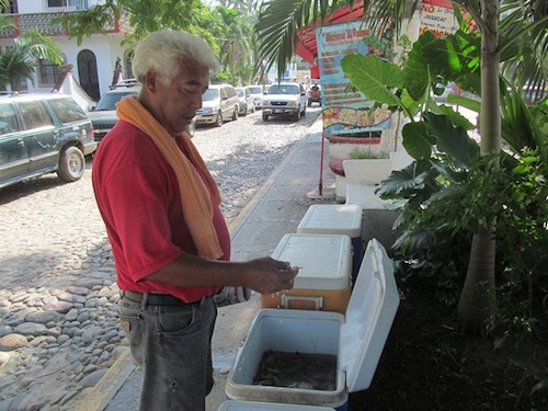 La Veda y Gasolina, Tiene Elevados el Precio del Camarón