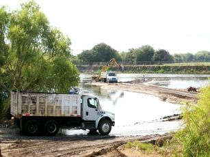 Impunes Daños al Medio Ambiente en Bahía