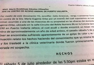 Ante Fiscalía 2 Denuncias Más por Maltrato a Animales