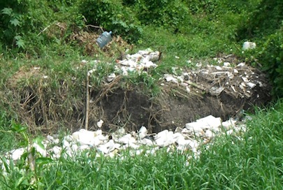 Sin Control Contaminación de Basura en Laguna del Quelele