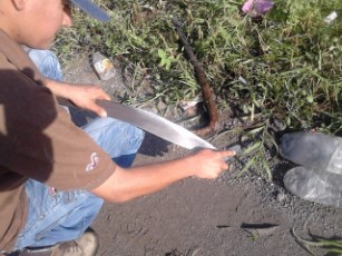Labora Servicios Generales en Mejora de Imagen Urbana