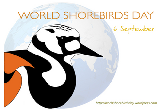 Participa Riviera Nayarit en el Conteo Mundial de Aves Playeras
