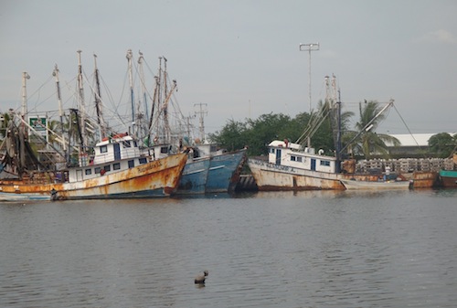 Anuncian proyecto del Malecón de San Blas, invertirán 100 MDP