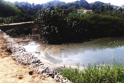 Contamina OROMAPAS Laguna de San Pancho con Aguas Negras