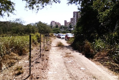 José Gómez no conoce el problema de la Avenida Cocoteros