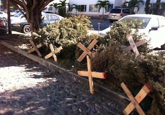 Árboles de Navidad Arrumbados Junto a Contenedores