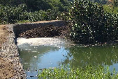 OROMAPAS ineficiente; sigue sin atender contaminación en Lagua de San Pancho