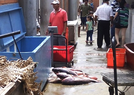 Pestilencia del Mercado del Mar, Afecta Tianguis Dominical
