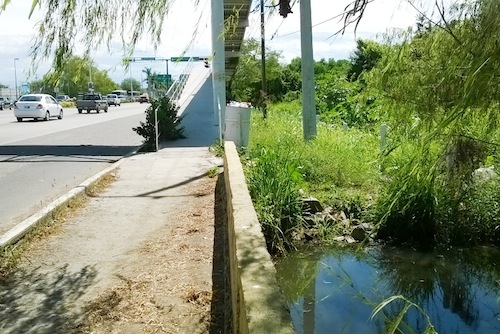 Pestilencia de Aguas Negras Frente a la Mega Comercial