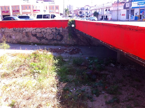 Puentes Vehiculares, Casa de Malvivientes, Drogadictos e Indigentes