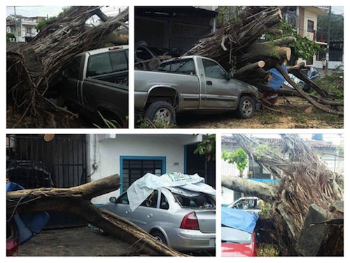 Negligencia en Parques y Jardines