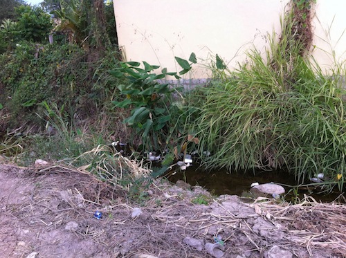 Vecinos Denuncian Arroyo Contaminado