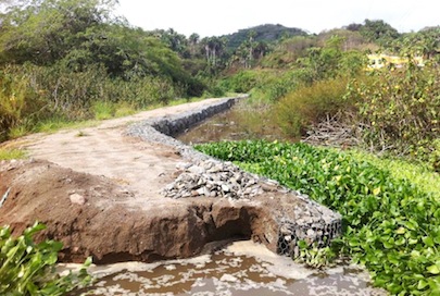 Naturaleza Abre y Limpia Laguna de San Pancho el Bordo Sigue