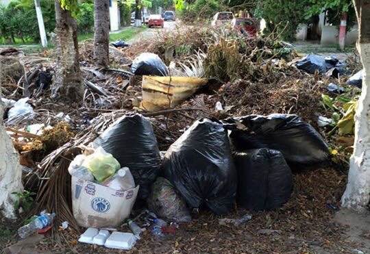 Ventiladores y Muebles como Basura sin Recoger en Palmar de Aramara