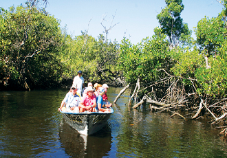 El mangle da valor ecológico y turístico a Riviera Nayarit