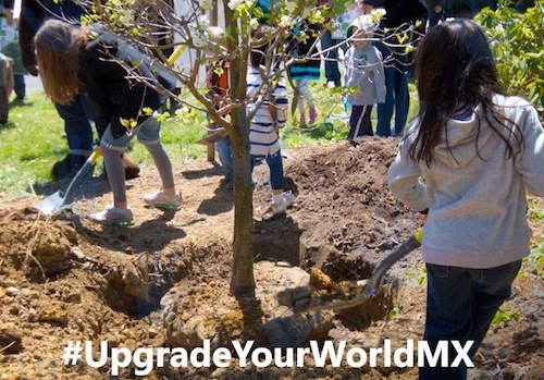 Vota por Fundación Punta de Mita en #UpgradeYourWorld de Microsoft