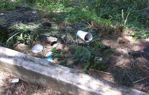 Grave Descuido en el Parque lineal del Río Pitillal