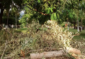 Parque Los Sauces Convertido en Basurero