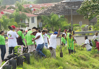 Más reforestaciones y limpiezas de espacios en Riviera Nayarit