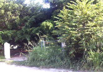 Abandona Ayuntamiento Mantenimiento de Parque en Valle Dorado