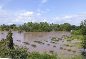 Cerca de mil Hectáreas de Sandía Afectadas por Creciente del Río Ameca