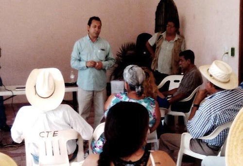 Productores Agrícolas de Bahía Buscan Mejor y Mayor Producción de Sorgo