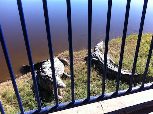 Mirador de las Aves en San Blas, Atractivo para Turistas
