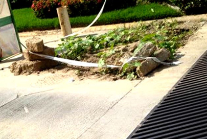 Incapaz OROMAPAS de Resolver Falta de Agua Potable en Colonias de Bucerías