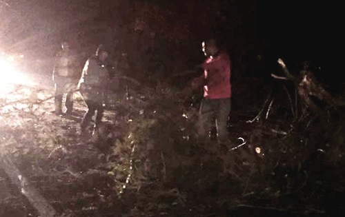 PC de Bahía no atendió llamado, tras bloqueo de árbol sobre la federal 200
