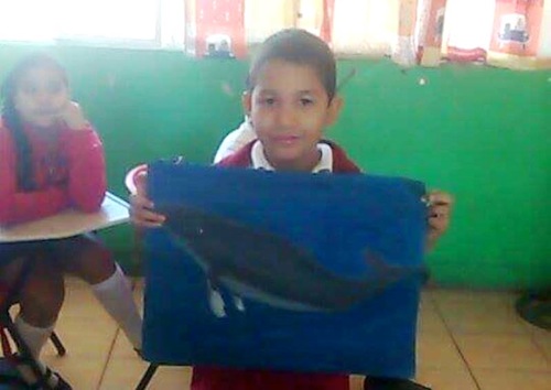 Robaron dibujos, 120 mil en efectivo y tres computadores en primaria de San Juan