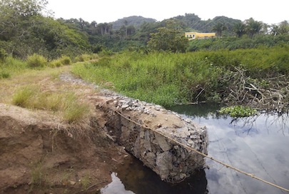 Evade PROFEPA Actuar en Contaminación de Aguas Negras de la Laguna de San Pancho