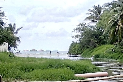 Saneamiento de Sayulita Lejos de Solucionarse, Ante Incapacidad de José Gómez