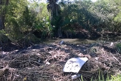 Negligencia de José Gómez provocó contaminación en dren de Lago Real